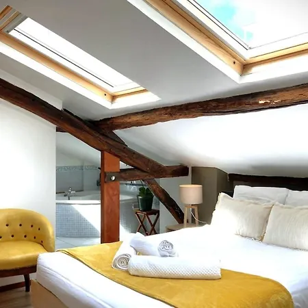 Vakantiehuis Le Venitienexceptionnel Loft-rooftop Vue Erdre Nantes
